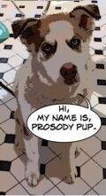 Cartoon dog with a speech bubble, "Hi, my name is Prosody Pup"